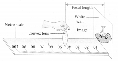 NCERT Solutions for Class 10 Science Chapter 10 Light Reflection and Refraction 4