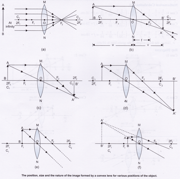 NCERT Class 10 Science Lab Manual Image Formation by a Convex Lens
