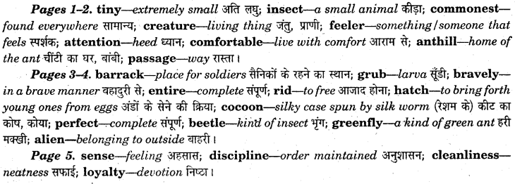 NCERT Solutions for Class 7 English An Alien Hand Chapter 1 The Tiny Teacher