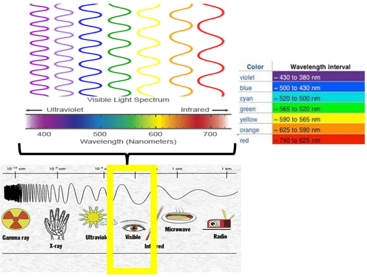 What color light has the highest frequency? CBSE Tuts