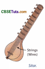 Types of Musical Instruments and Examples CBSE Tuts