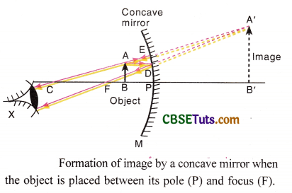 Rules and Formation of Image by a Concave Mirror - CBSE Tuts