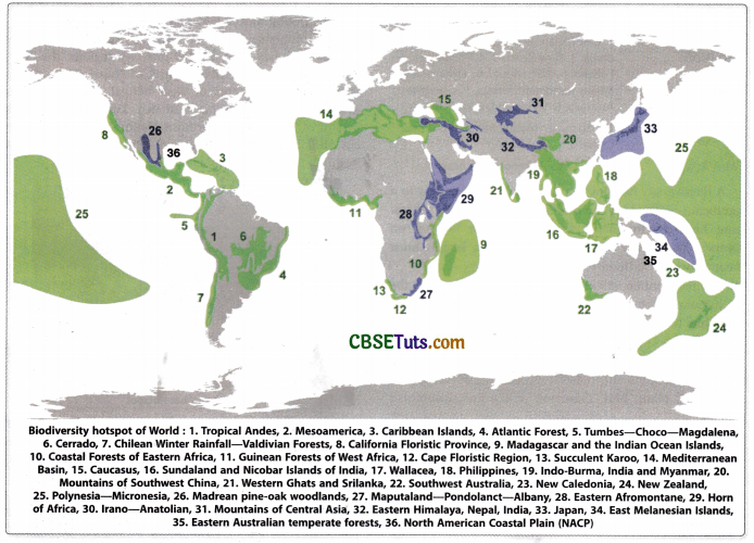 Biodiversity Hotspots Criteria, Importance and Examples CBSE Tuts
