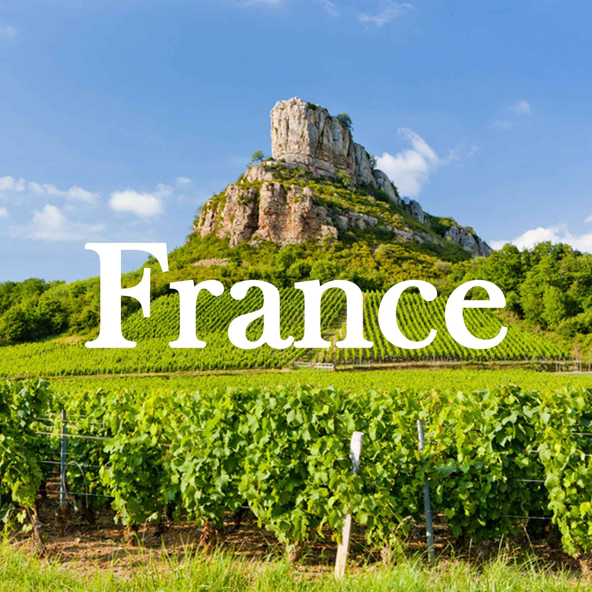 Charlie Burgers Buy Wine Online Ontario