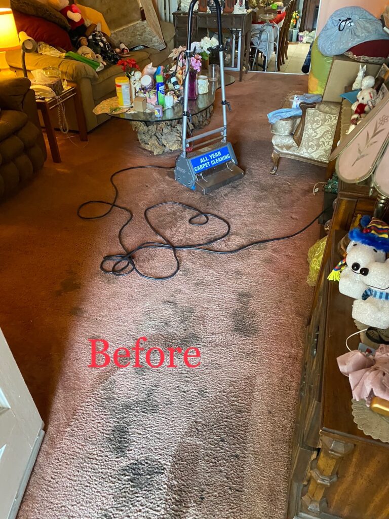 Residential Carpet Cleaning Downey, CA All Year Carpet Cleaning 562
