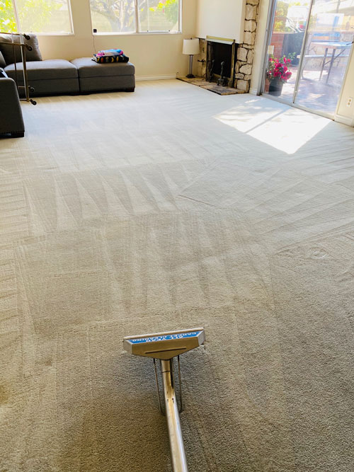 Residential Carpet Cleaning Downey, CA All Year Carpet Cleaning 562