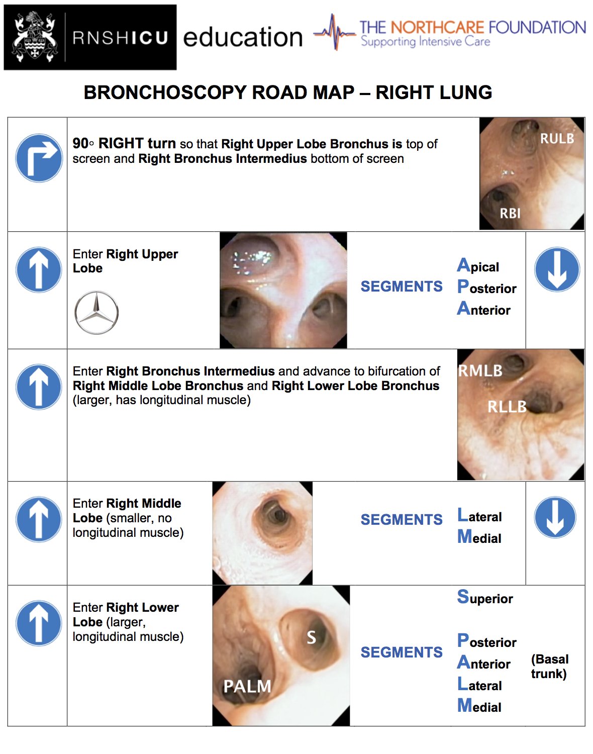The Fibre Optic Bronchoscope and Airway Topicalisation