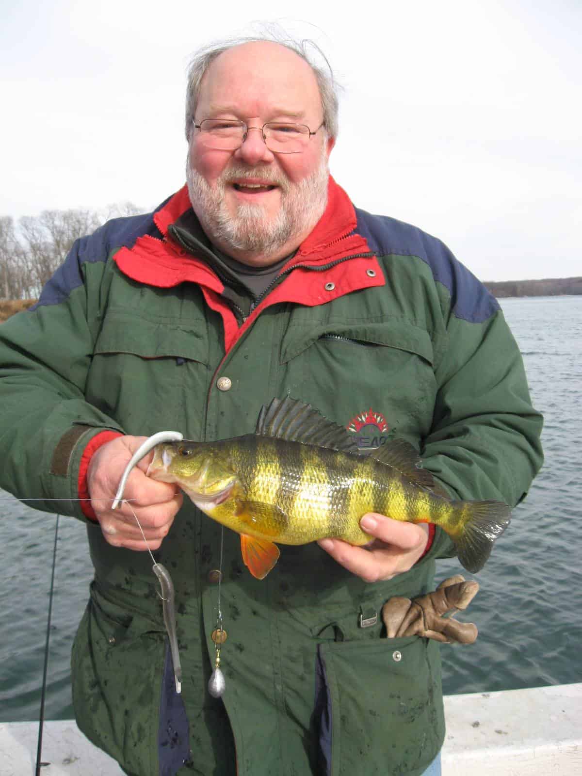 Yellow Perch CCA Maryland