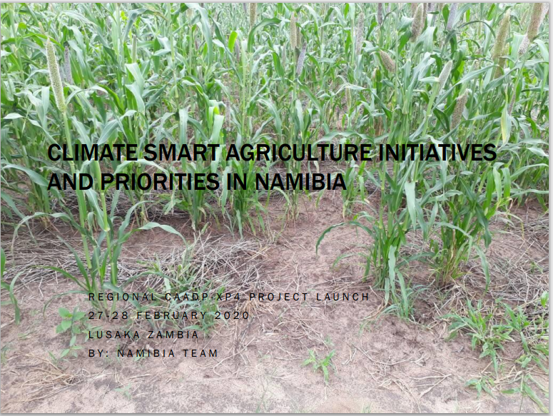The Climate Smart Agriculture(CSA) Initiatives in Namibia CCARDESA