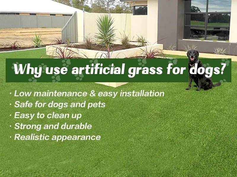 How Do You Keep Dogs From Peeing On Artificial Grass
