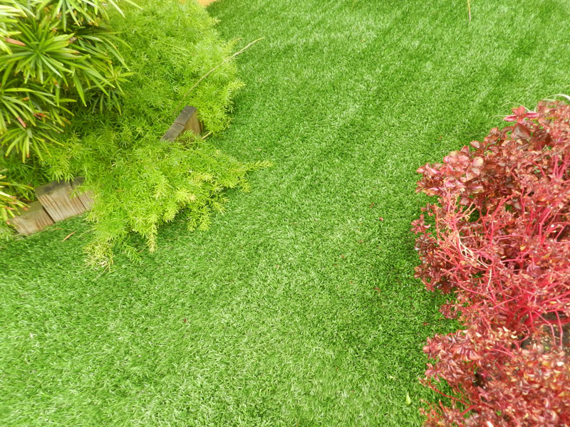 How Long Does Artificial Grass Last? CCGrass