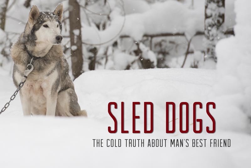 Over 30 Years of Quality Entertainment in Canada // CCI Entertainment