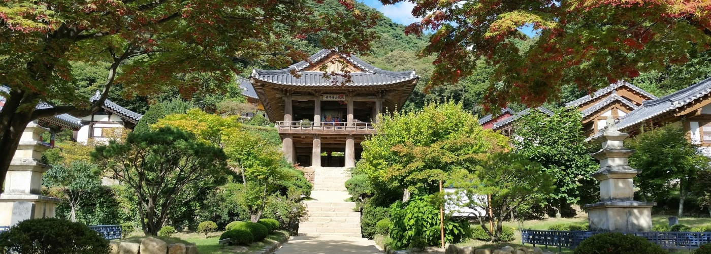 CCIS Study Abroad Korea University Sejong , South