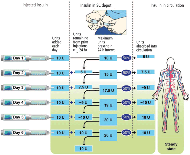 New insulin preparations A primer for the clinician Cleveland Clinic