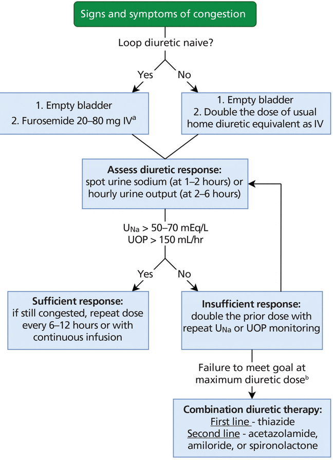 How do we maximize diuresis in acute heart failure
