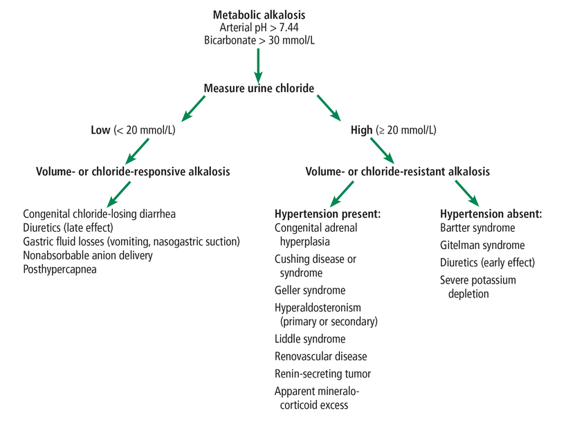 The devil is in the details Approach to refractory hypokalemia Cleveland Clinic Journal of