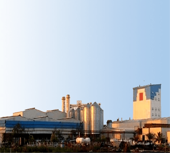 Contact Continental Coffee CCL Products (India) Limited