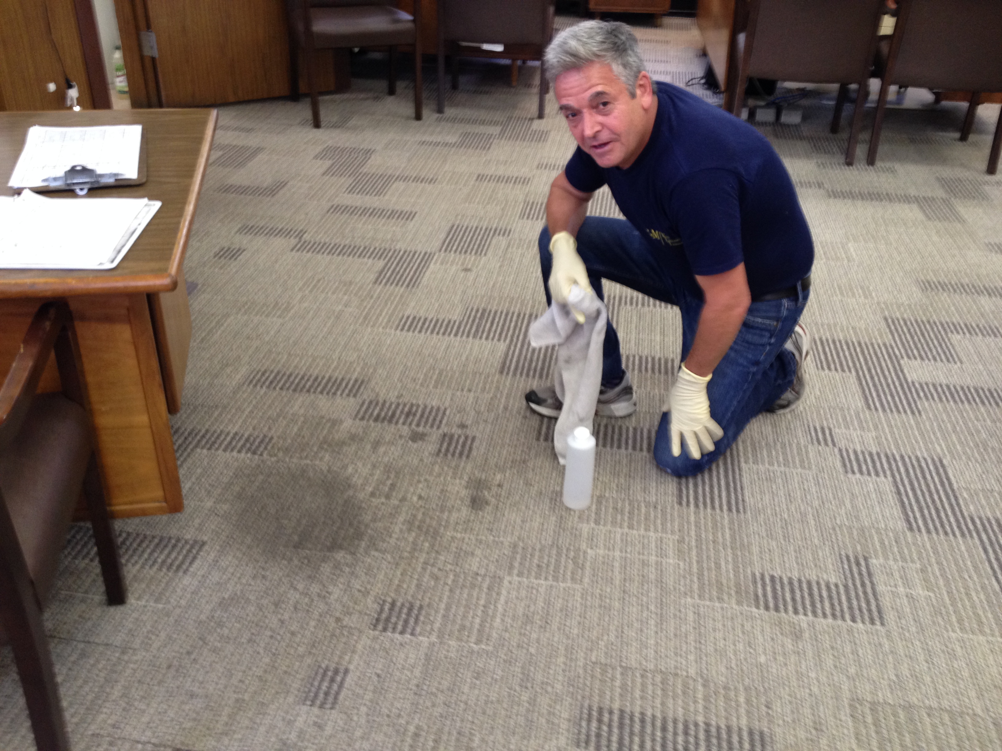Carpet Spot and Stain Removal Certified Carpet Management