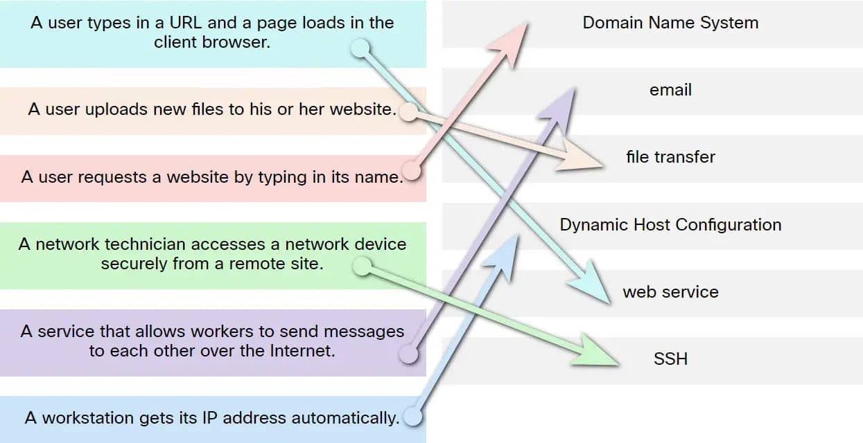 Networking Basics Final Exam Answers