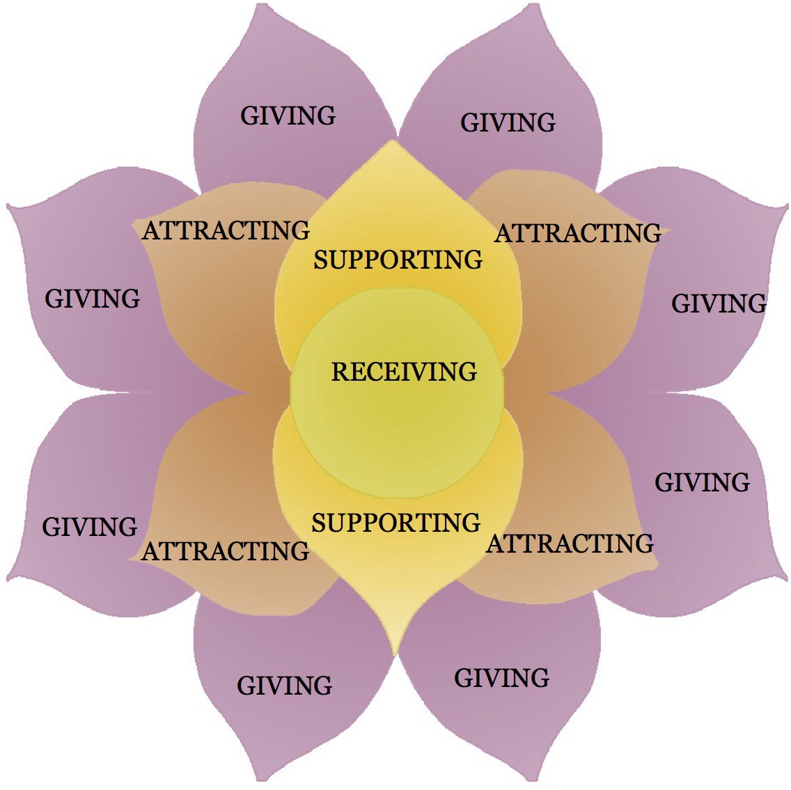 Flower pyramid scheme CCPC Consumers