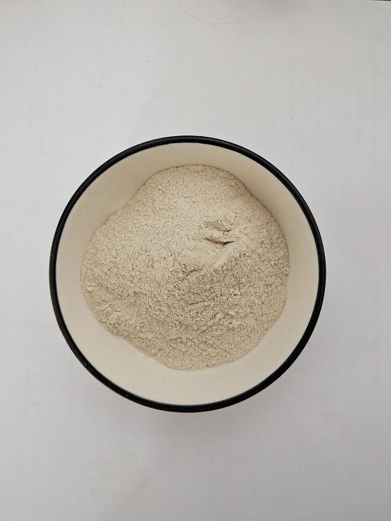 Psyllium husk Powder
