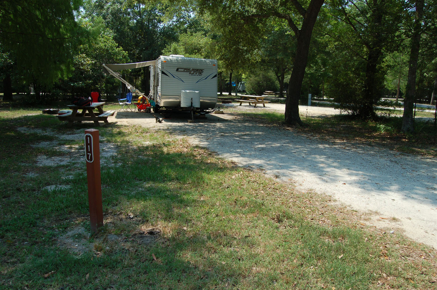 Charleston Photo Gallery