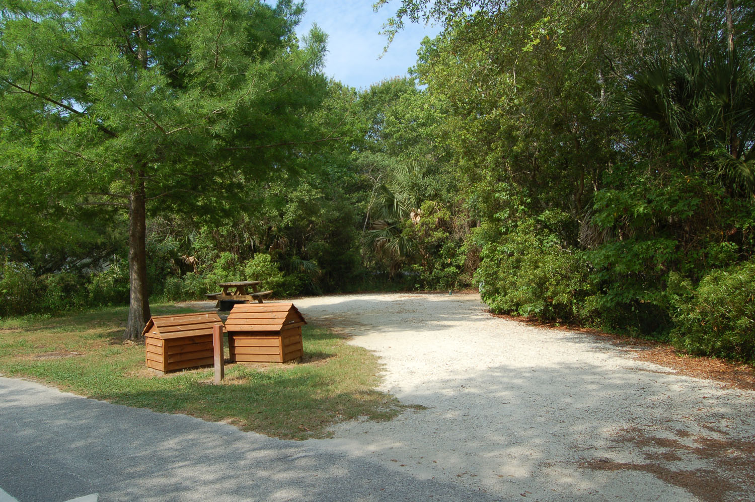 Charleston Photo Gallery