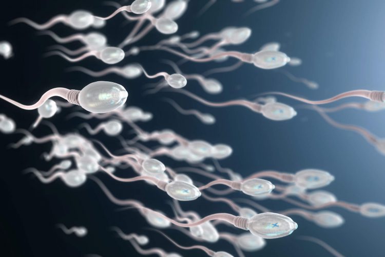 Experts blame chemicals and modern lifestyles for lower sperm count CCRM