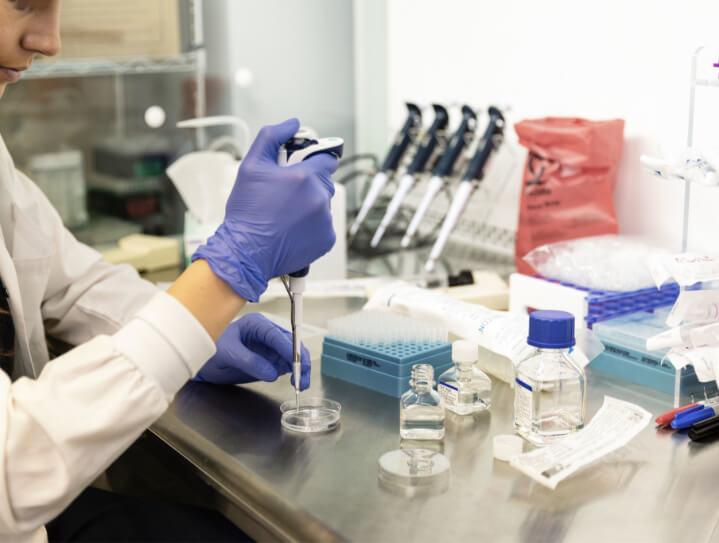 Fertility Success Rates IUI, Embryo Transfer, and More CCRM