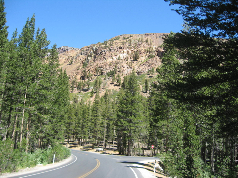 Capital City Road Runners The fun running club from Fredericton, New