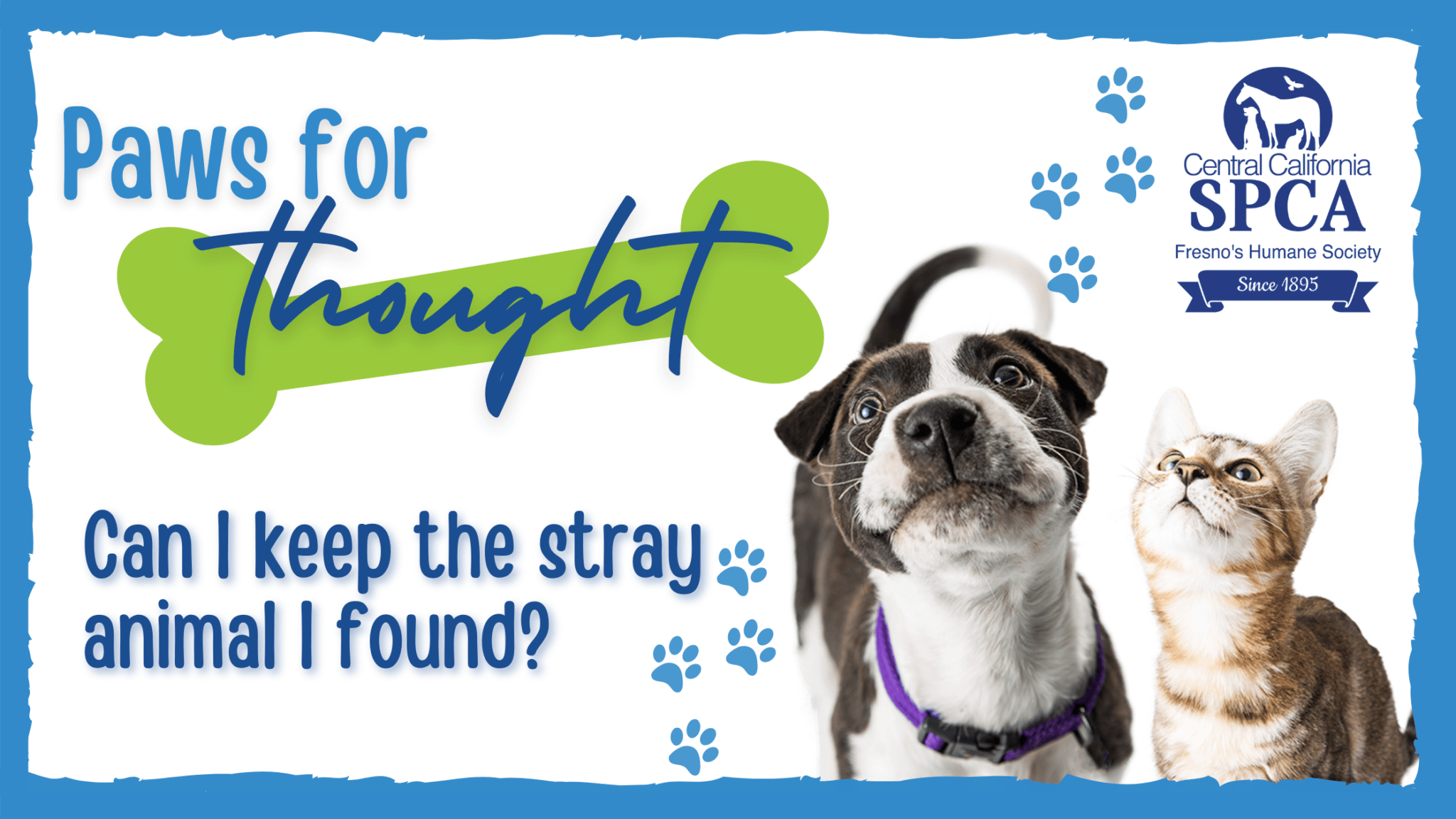 Central California SPCA Animal Shelter