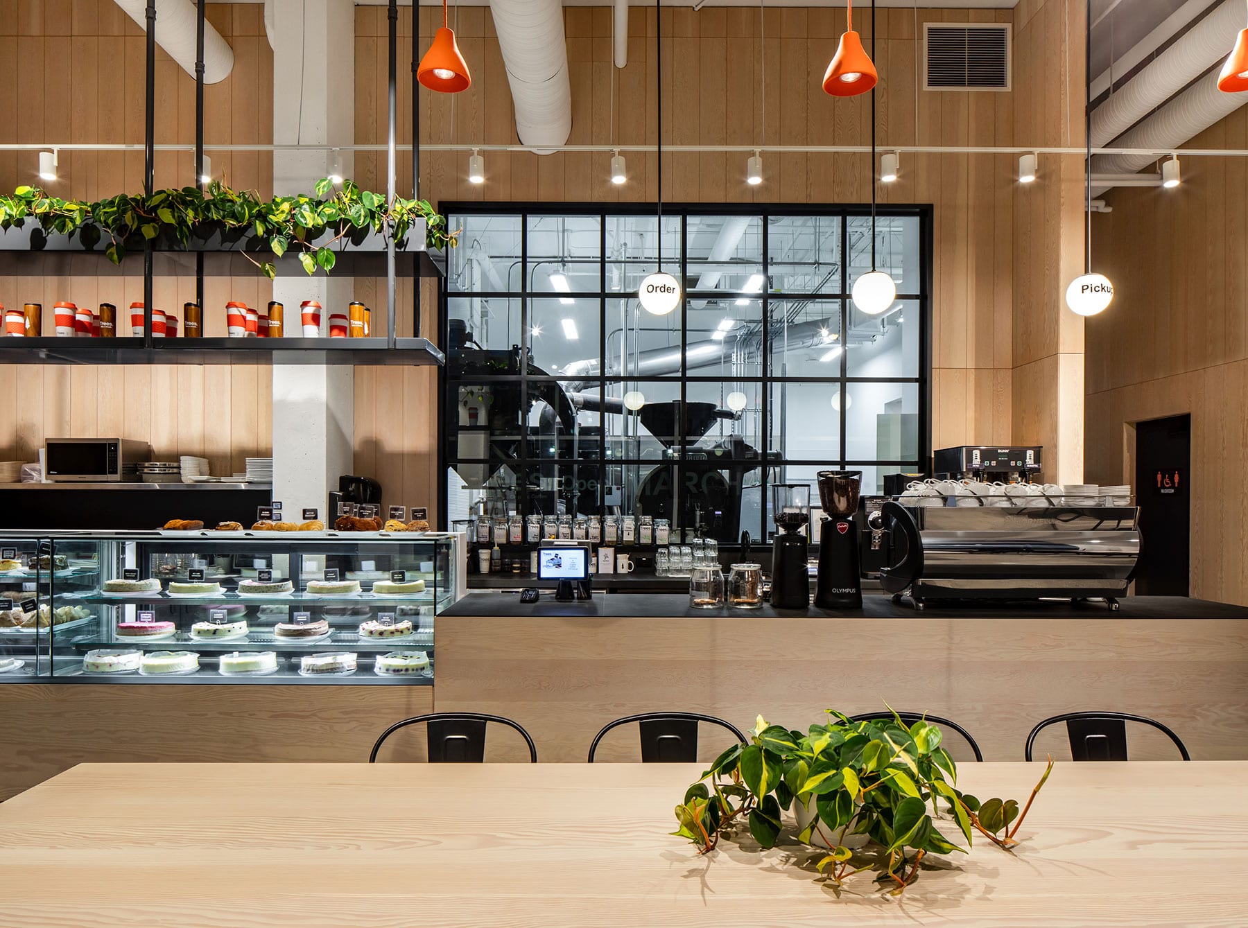 Trees Organic Coffee Strathcona CDC Construction