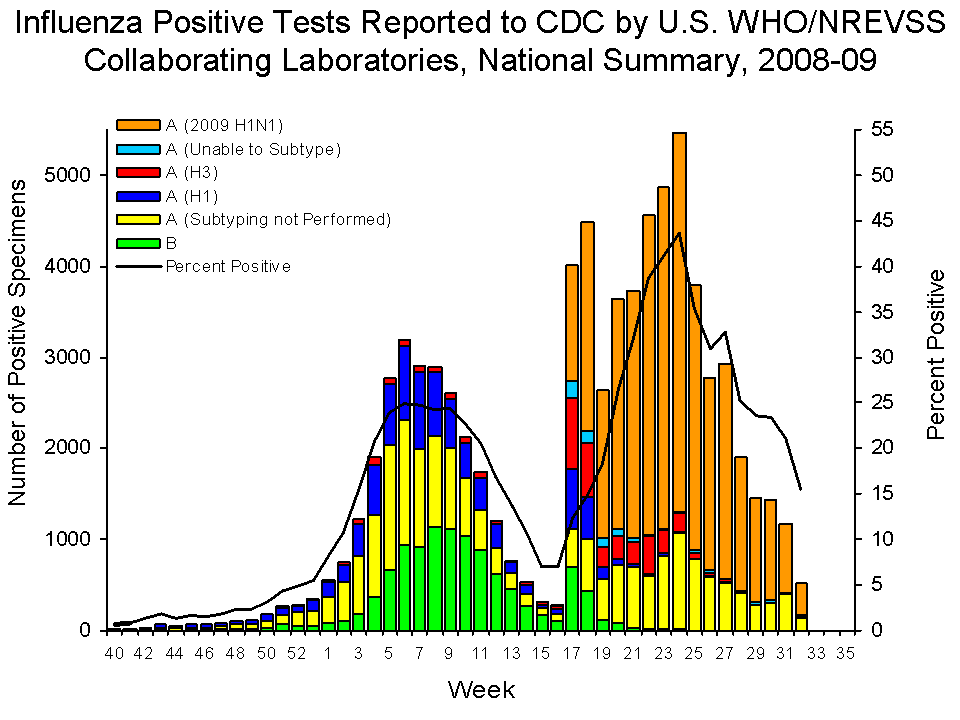 Latest Swine Flu Epidemic Curve for the United States monkey's uncle