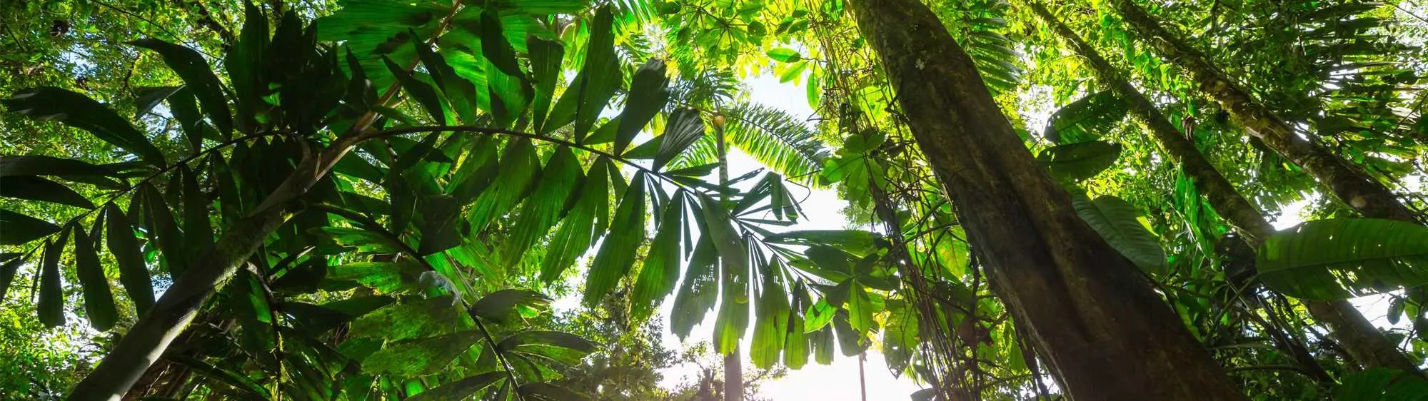 Hernando Childrens Dentist at Andres McCullough blog