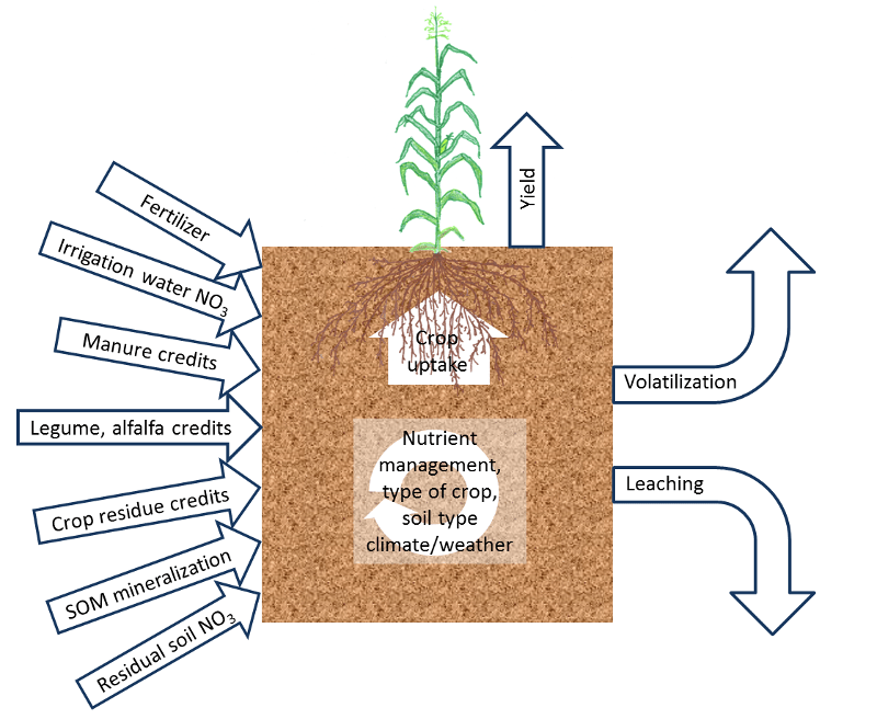 CDFA FREP CA Fertilization Guidelines FieldSpecific Nitrogen