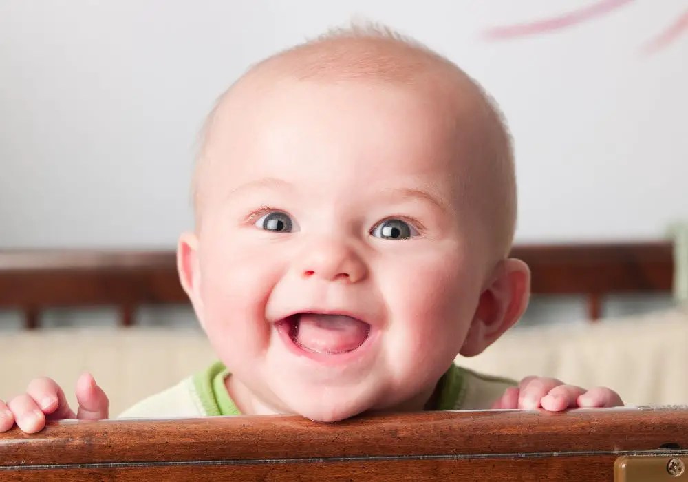 What solids can babies eat without teeth? (Tips for introducing solid