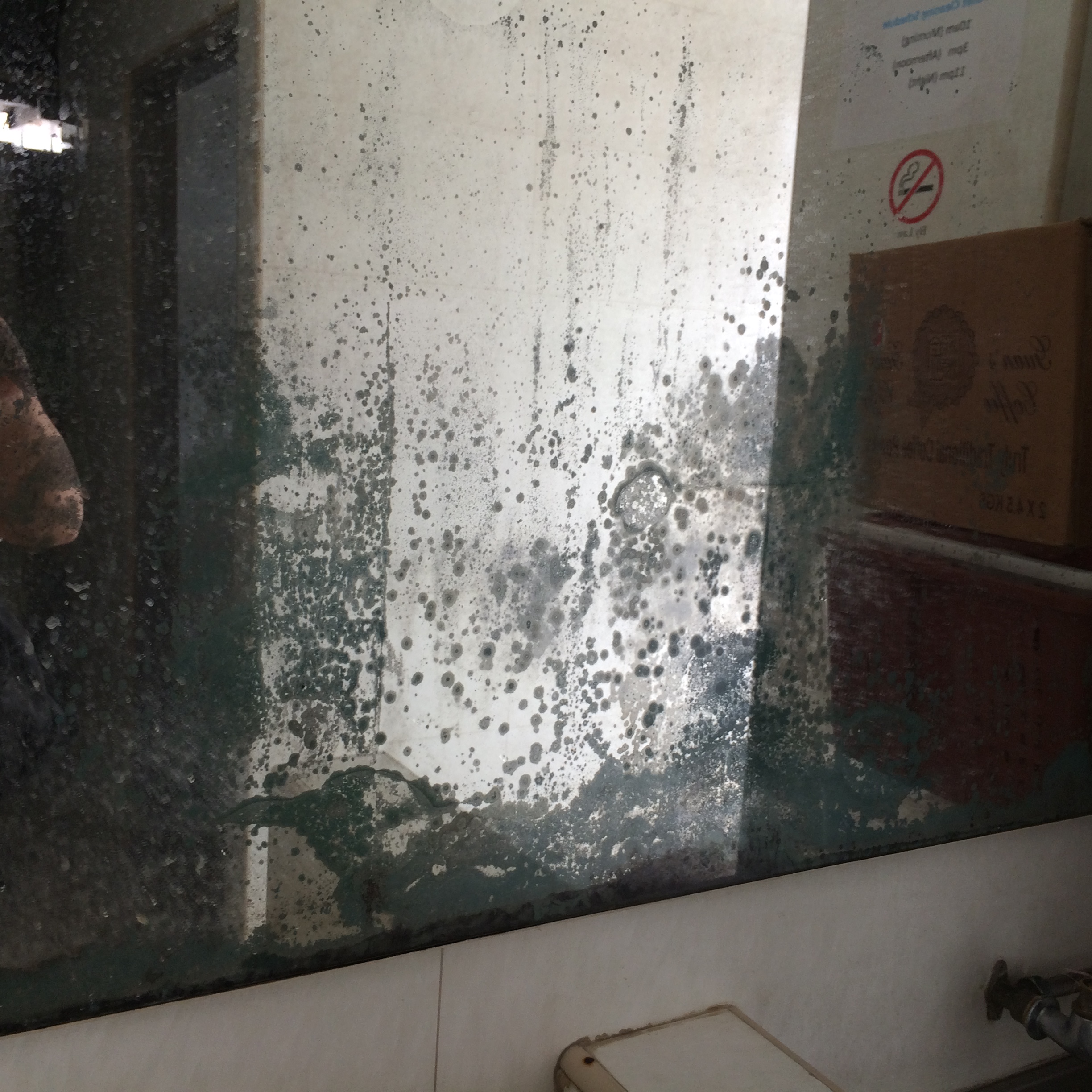 Can I install mirrors in the home Feng Shui Tips & Guidelines