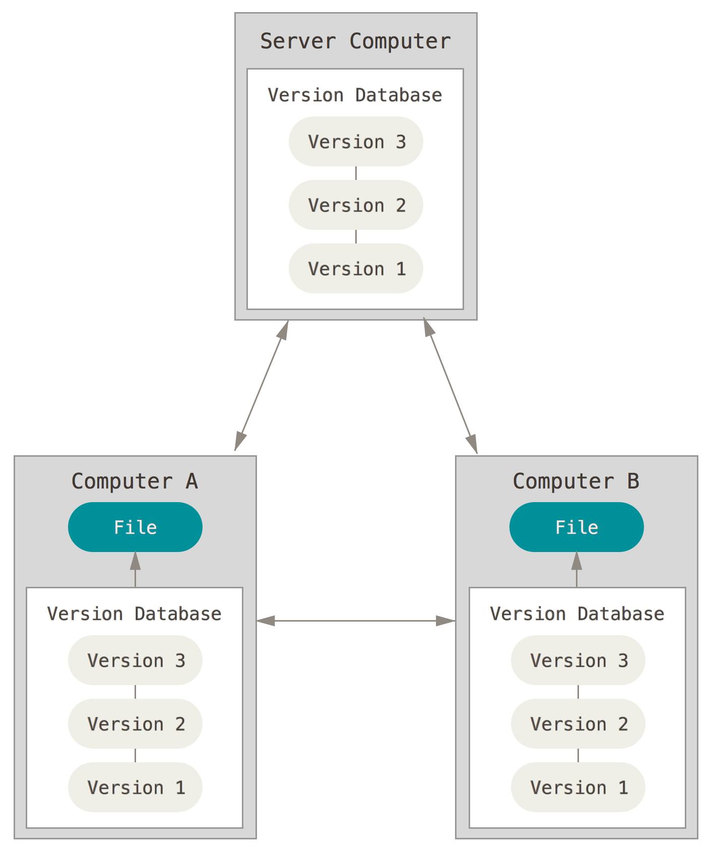 A professional programmer uses Version Control System (VCS) Data