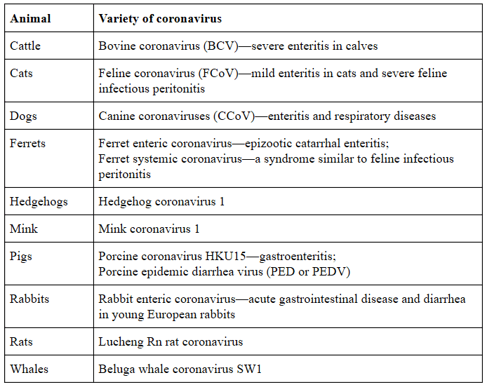 Coronaviruses a general introduction The Centre for EvidenceBased