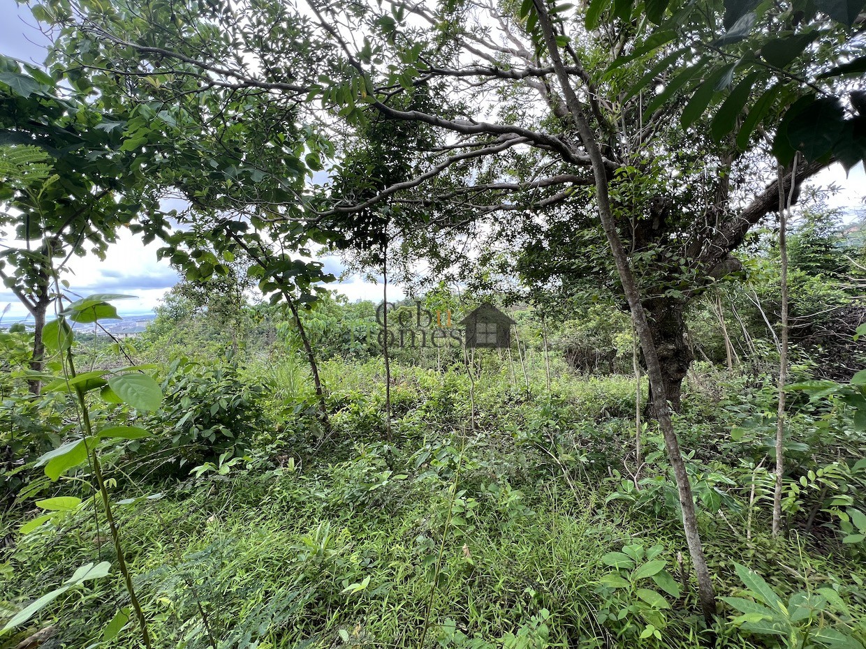 0769 Overlooking Lot in Ma. Luisa For Sale Cebu Homes