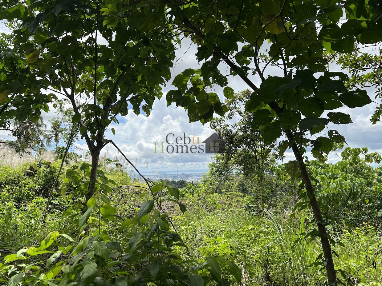 0769 Overlooking Lot in Ma. Luisa For Sale Cebu Homes