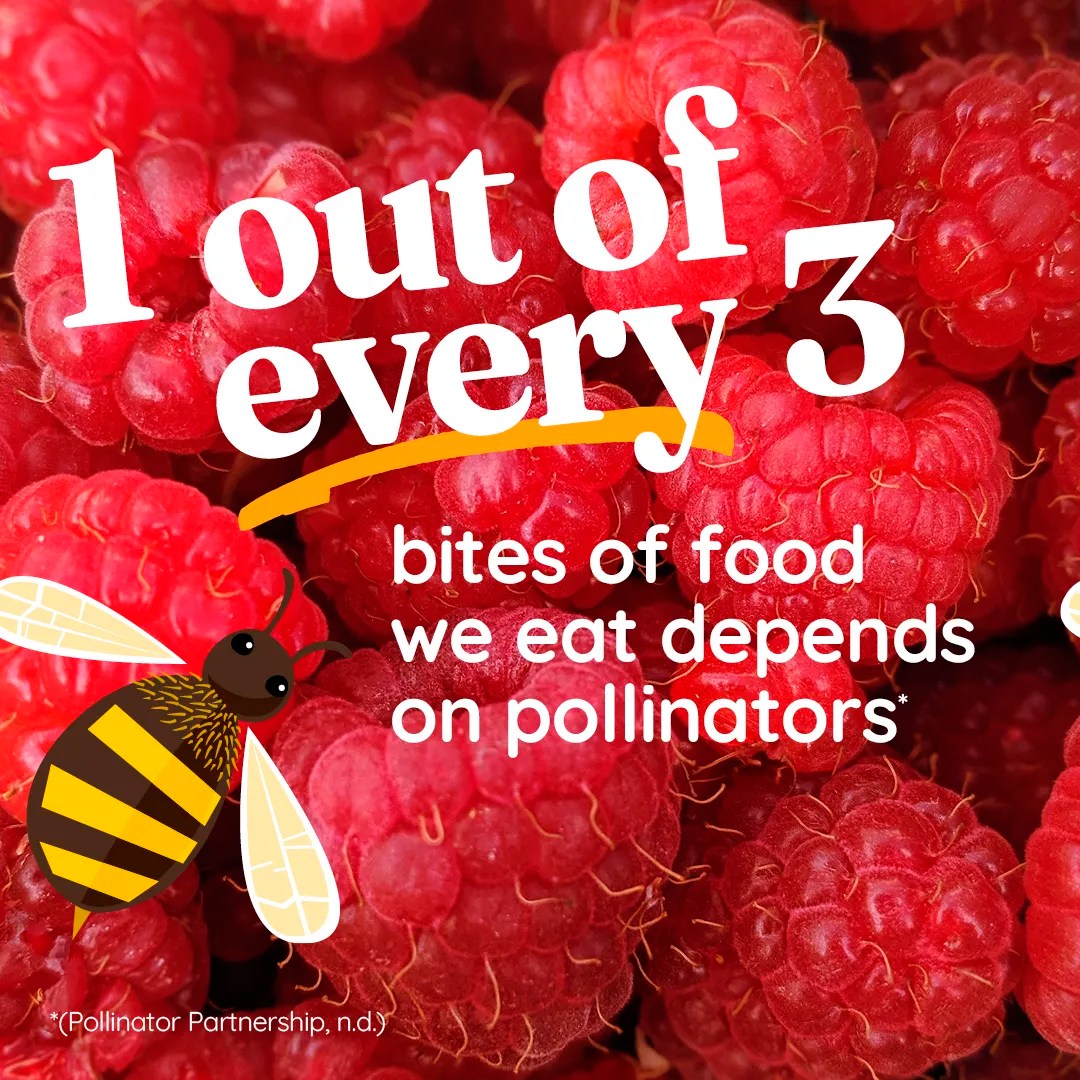 People for Pollinators What It Is and Why It Matters