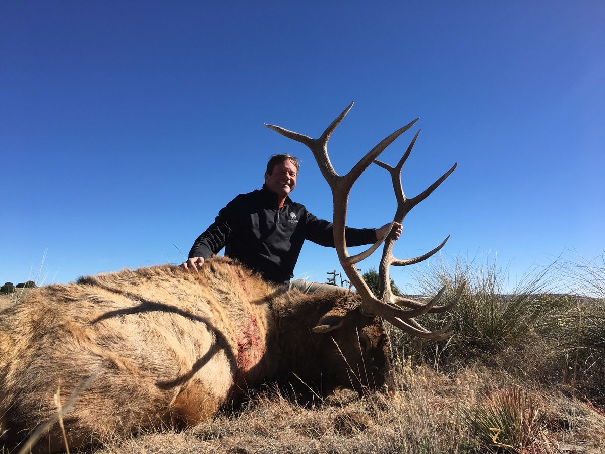 New Mexico Elk Hunts