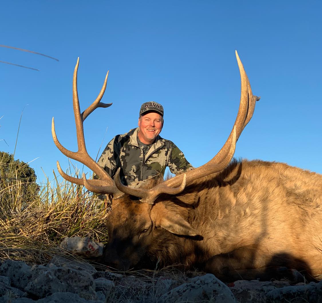 New Mexico Elk Hunts