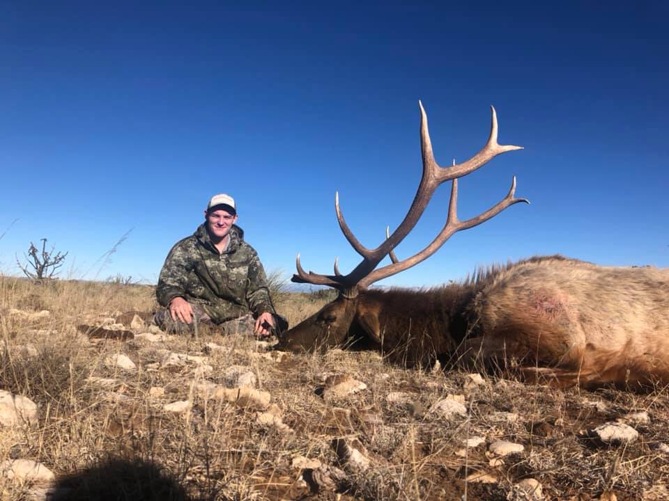 New Mexico Elk Hunts