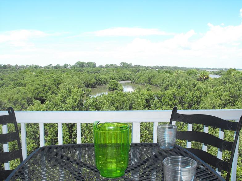 mccormick management & realty Cedar Key, FL 32625
