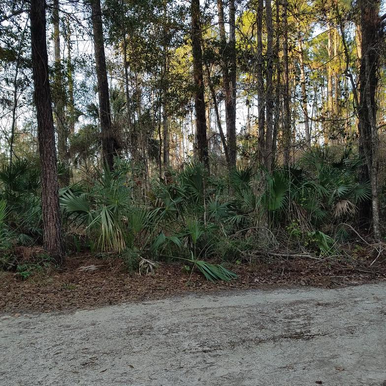 mccormick management & realty Cedar Key, FL 32625