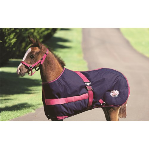 ThermoMaster Growing Foal Rug Cedar Lodge Equine Products