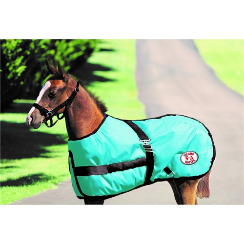 ThermoMaster Growing Foal Rug Cedar Lodge Equine Products