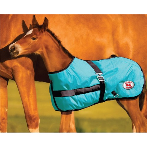 ThermoMaster Growing Foal Rug Cedar Lodge Equine Products